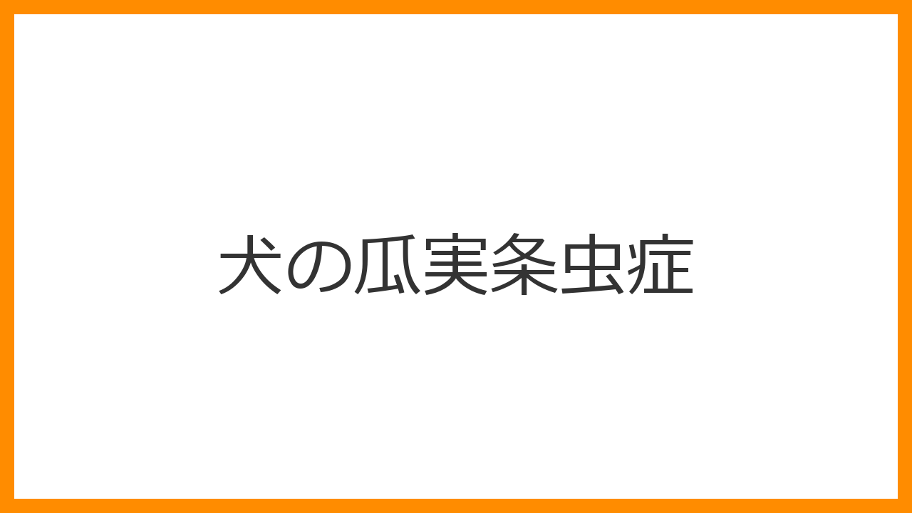 【犬の瓜実条虫症】便の白い虫や動く粒はサナダムシ？原因・症状・治療とノミ予防を解説