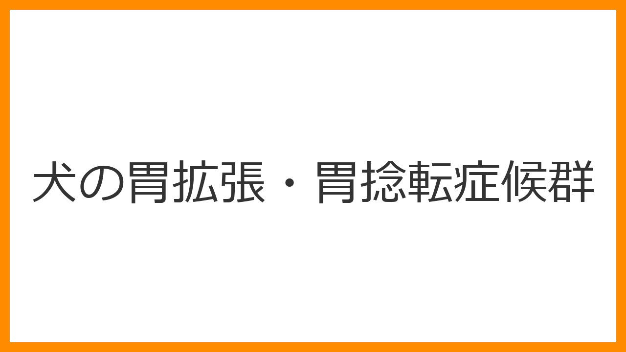 【犬の胃拡張・胃捻転症候群】お腹の張り・えづきは緊急事態！初期症状と生存率を上げる対処法を解説