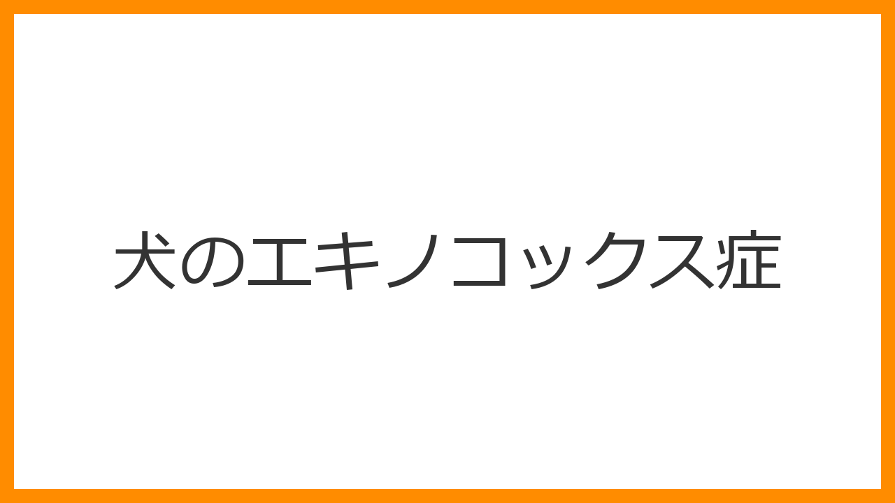 【犬のエキノコックス症】人への感染リスク大！症状・予防・最新の対策を完全解説