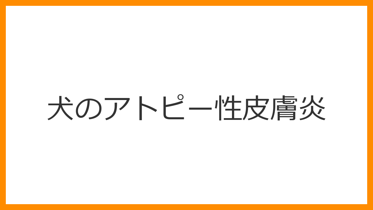 【犬のアトピー性皮膚炎】止まらない痒みの原因と最新治療薬・スキンケア法を徹底解説