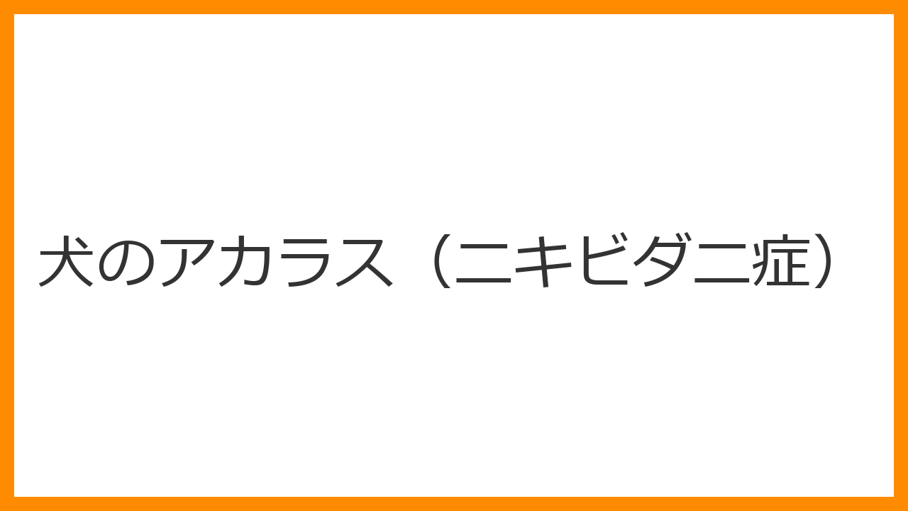【犬のアカラス（ニキビダニ症）】脱毛と赤みへの対策！原因・最新の駆虫薬・治療法を解説