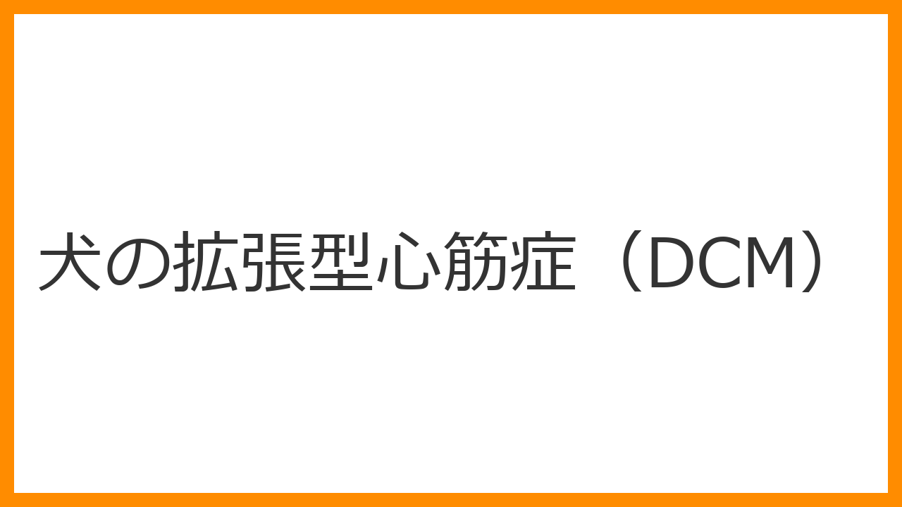 【犬の拡張型心筋症（DCM）】大型犬に多い心臓の病！初期症状・治療・余命を徹底解説
