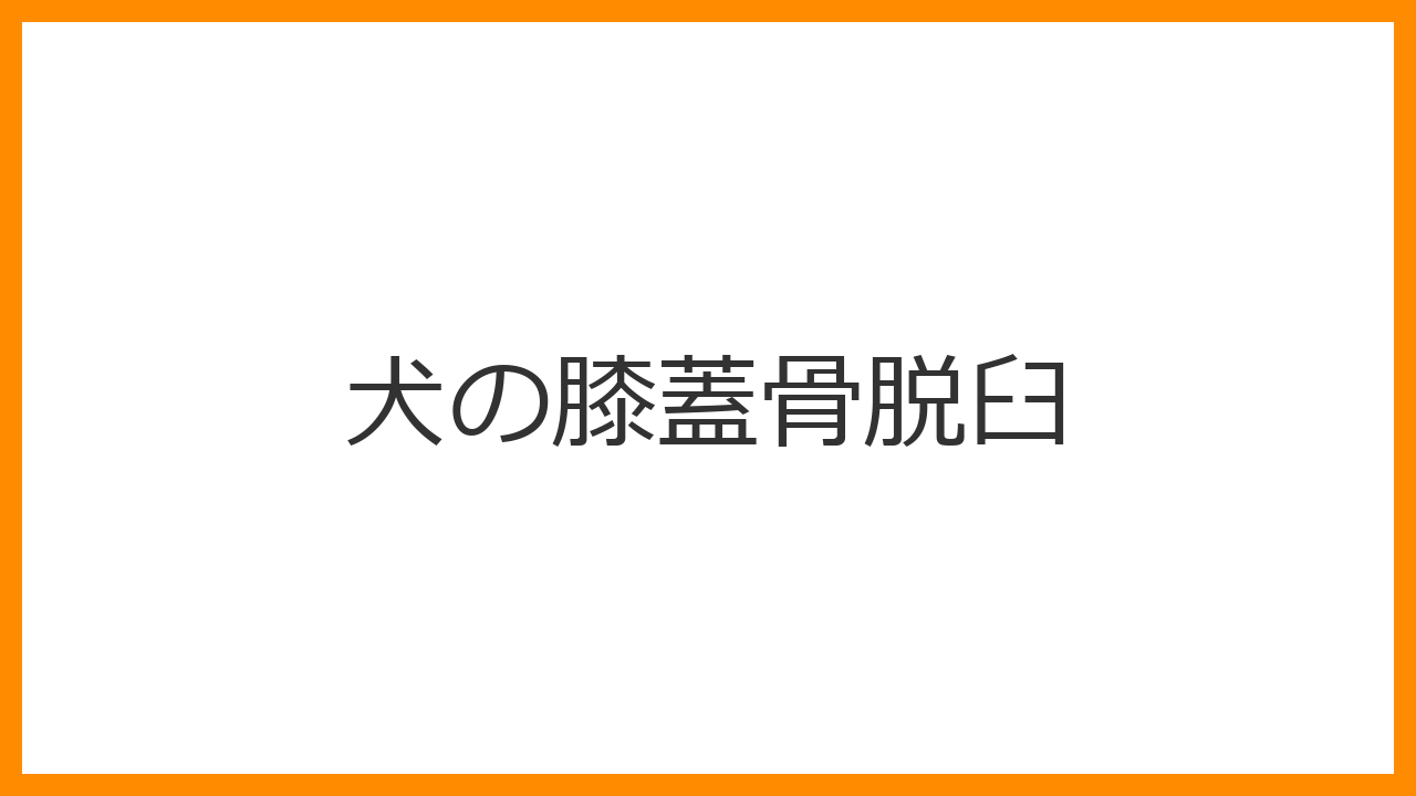 【犬の膝蓋骨脱臼（パテラ）】グレード1〜4の症状・最新の治療法・滑り止め対策を解説