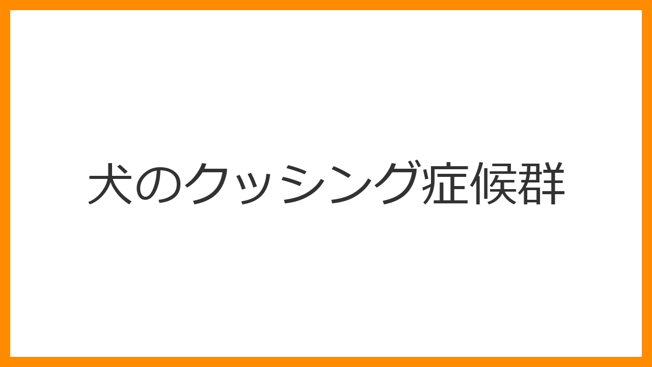 【犬のクッシング症候群】多飲多尿・脱毛・お腹の張りに注意！原因・治療・食事を解説