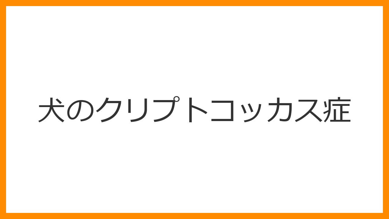 【犬のクリプトコッカス症】カビによる怖い感染症！症状・神経への影響・予防法を解説