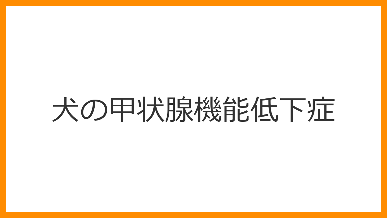 【犬の甲状腺機能低下症】「老化」と間違わないで！元気がない、太る、脱毛の正体