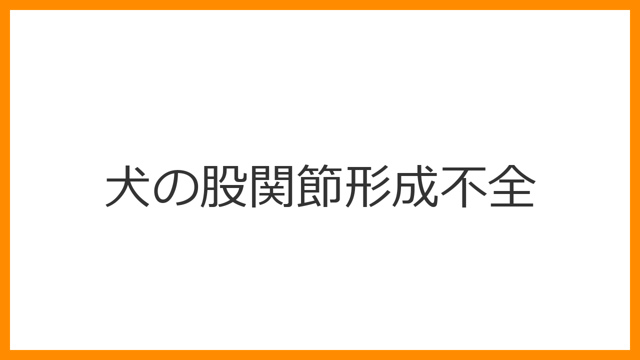【犬の股関節形成不全】腰を振って歩く・立ち上がりにくさはサイン？原因と治療