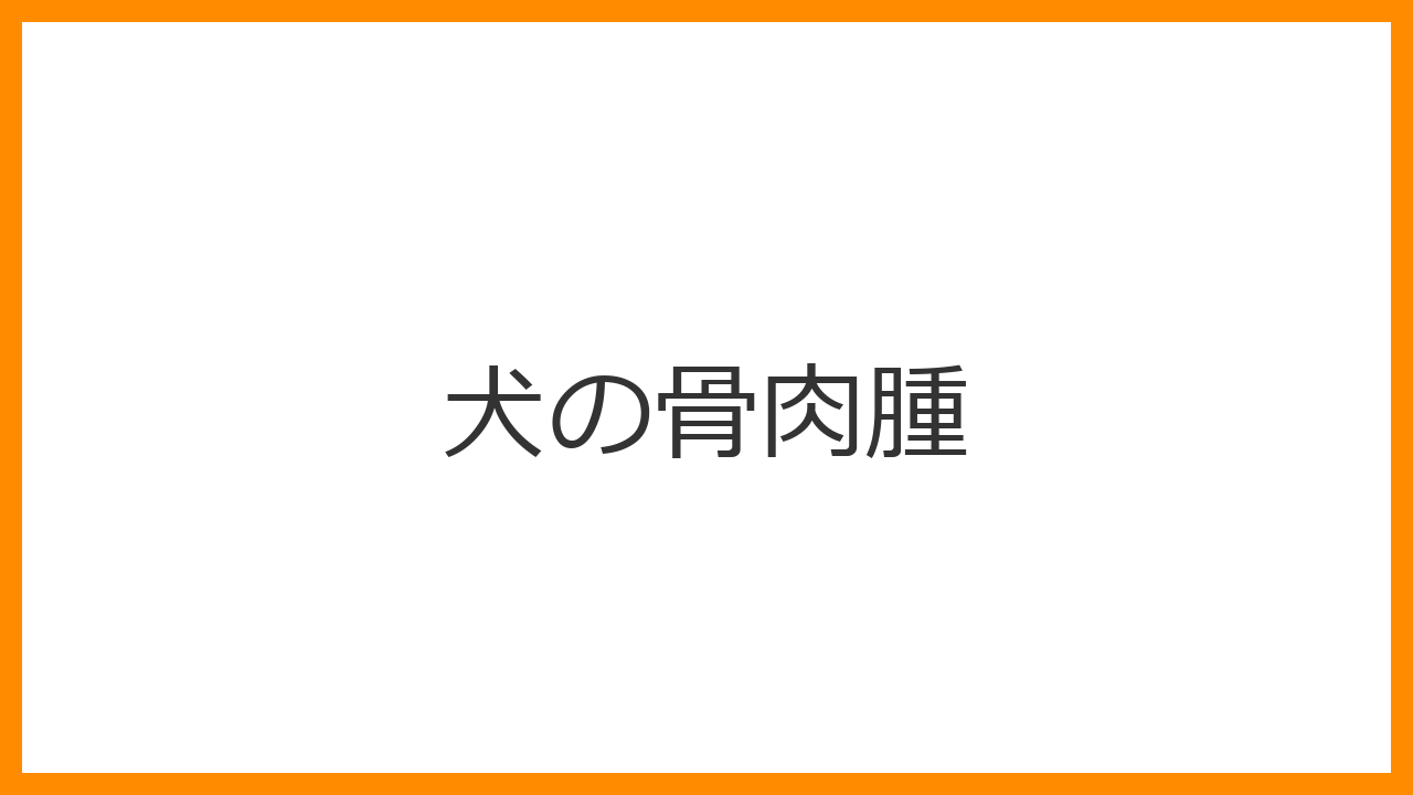 【犬の骨肉腫】激しい痛みと足の腫れに注意！進行が早い骨のガンの症状と治療