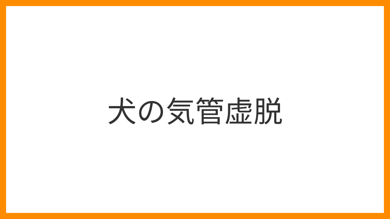 【犬の気管虚脱】ガーガーという激しい咳への対策！最新治療と家庭での予防