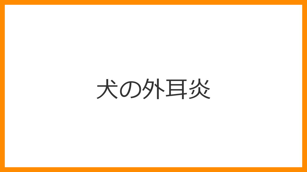 【犬の外耳炎】耳をボリボリ掻く、頭を振るのはSOS！黒い耳垢の原因と正しいケア、予防法
