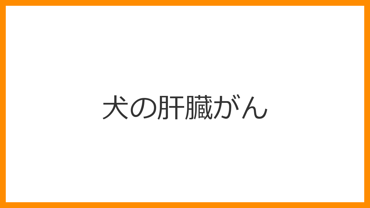 【犬の肝臓がん】初期症状は見逃し厳禁！外科手術と肝臓を支える食事療法