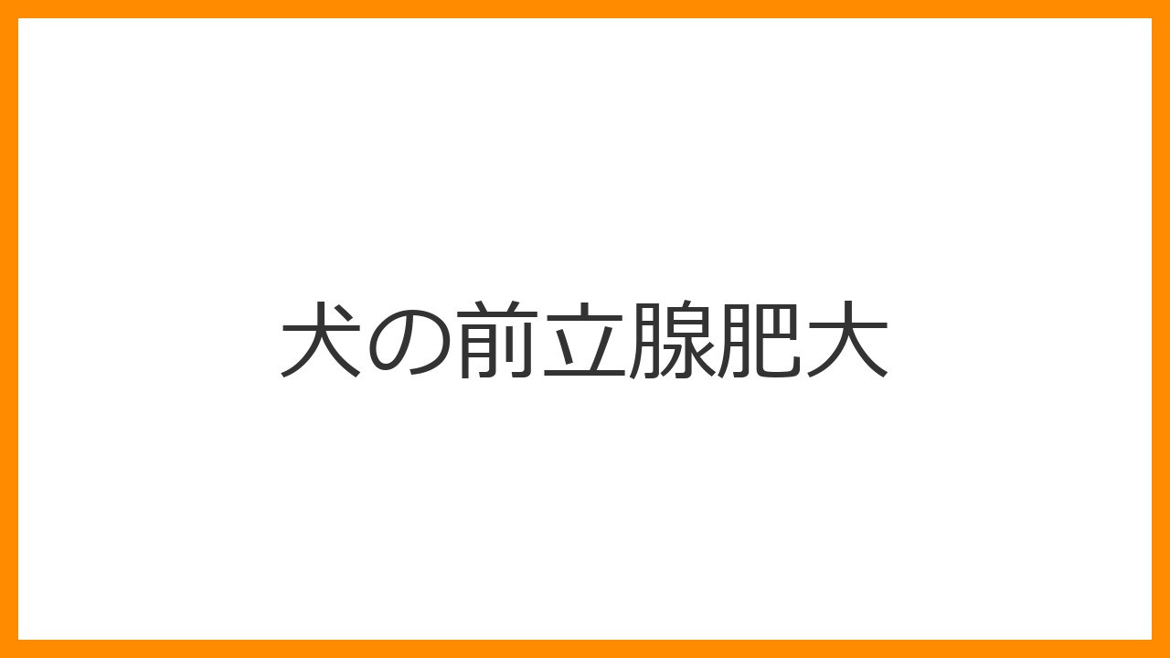 【犬の前立腺肥大】便が細い・おしっこが出にくいのは？未去勢シニアのオスに多い良性疾患を解説