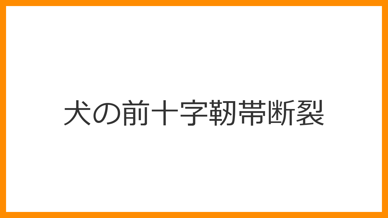 【犬の前十字靭帯断裂】足を挙げてケンケン・お座りが崩れるのは？肥満リスクと最新TPLO手術を解説
