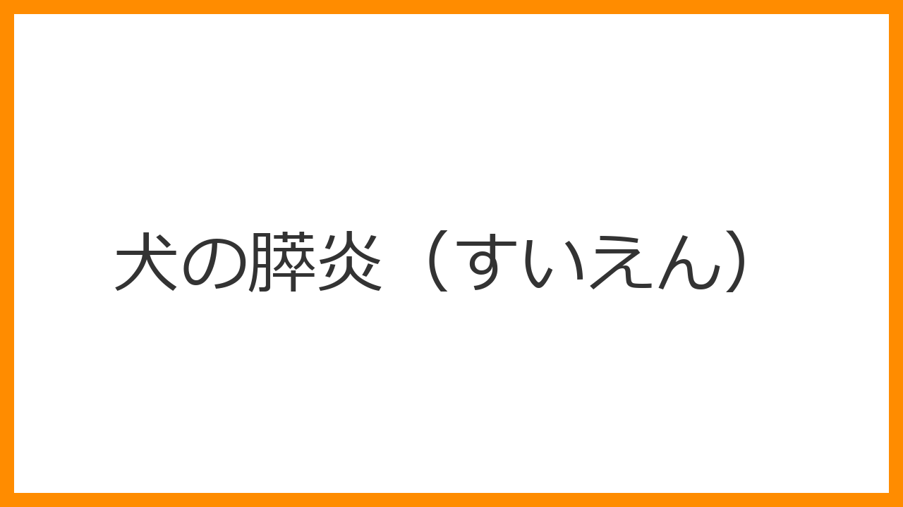 【犬の膵炎（すいえん）】激しい嘔吐・祈りのポーズは激痛のサイン？高脂肪食リスクと低脂肪管理を解説