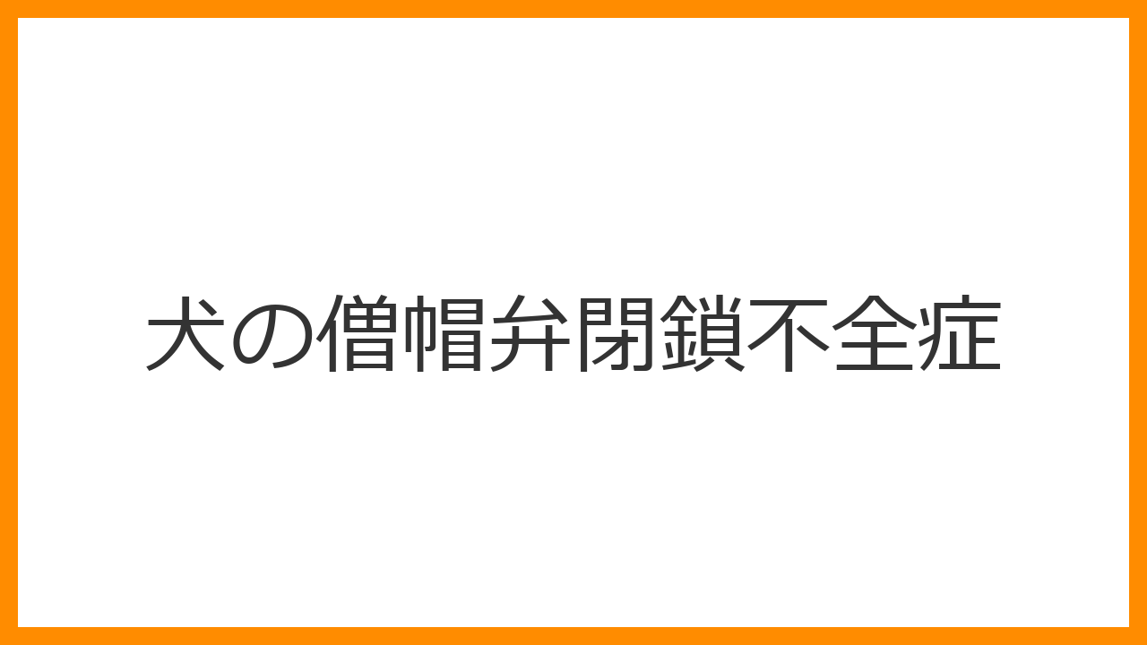 【犬の僧帽弁閉鎖不全症】乾いた咳・疲れやすさは心臓病のサイン？小型犬の肺水腫リスクと強心剤治療を解説