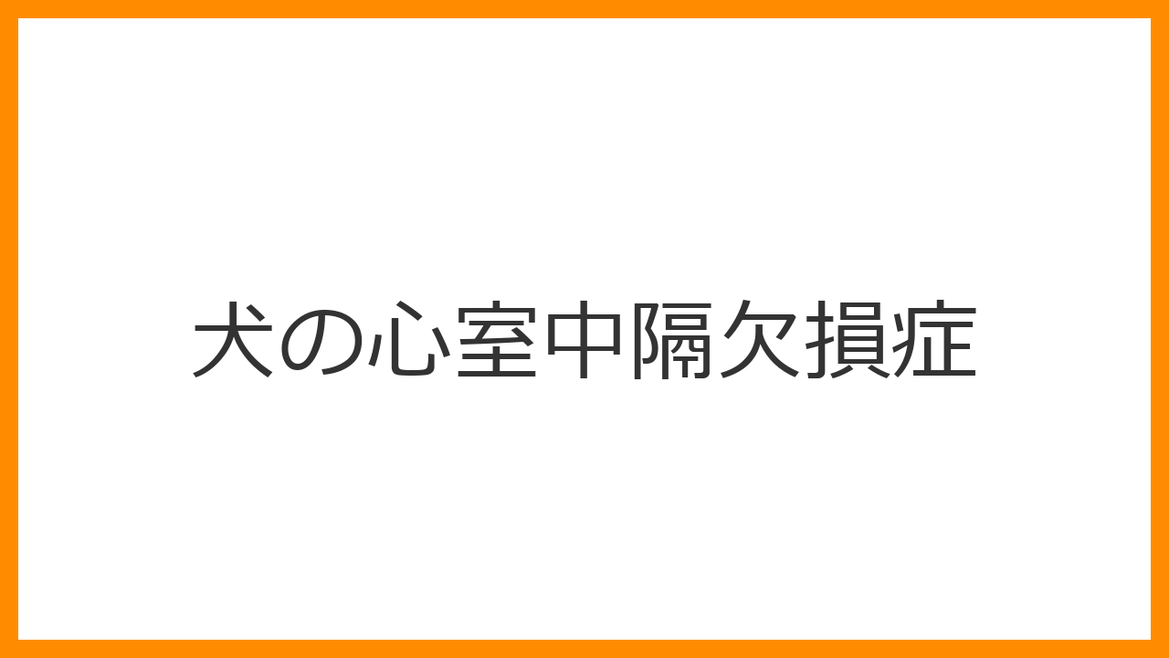 【犬の心室中隔欠損症】心雑音・疲れやすさは生まれつきの病気？症状レベルと強心剤治療を解説