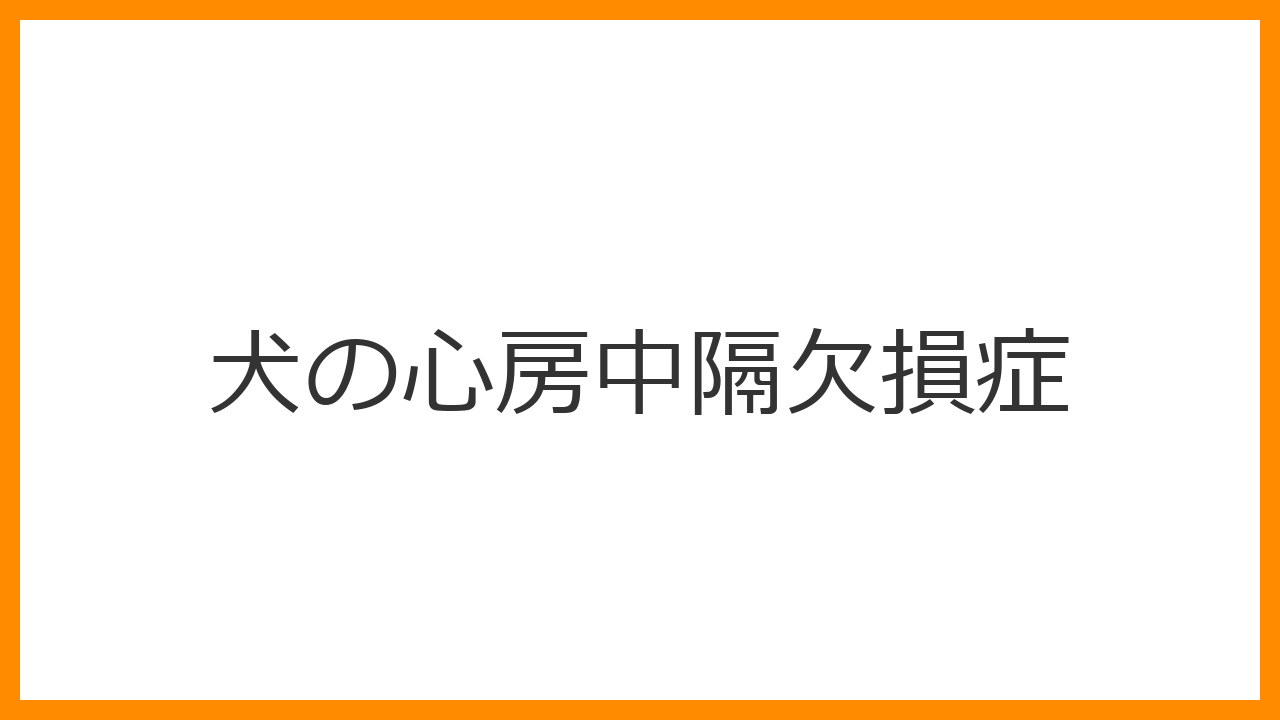 【犬の心房中隔欠損症（ASD）】無症状から心不全へ進行する先天性心疾患の症状・治療・手術費用