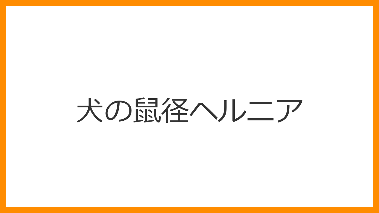 【犬の鼠径ヘルニア】足の付け根のふくらみは危険？戻らなくなる嵌頓（かんとん）と手術治療を解説