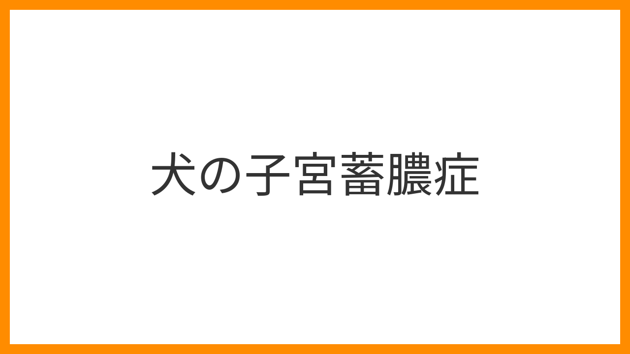 【犬の子宮蓄膿症】多飲多尿・陰部の膿は一刻を争うサイン？未避妊高齢メスの救急疾患と手術を解説