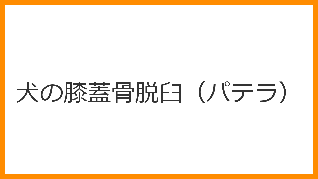 【犬の膝蓋骨脱臼（パテラ）】時々スキップして歩くのは？4段階のグレードと手術のタイミングを解説