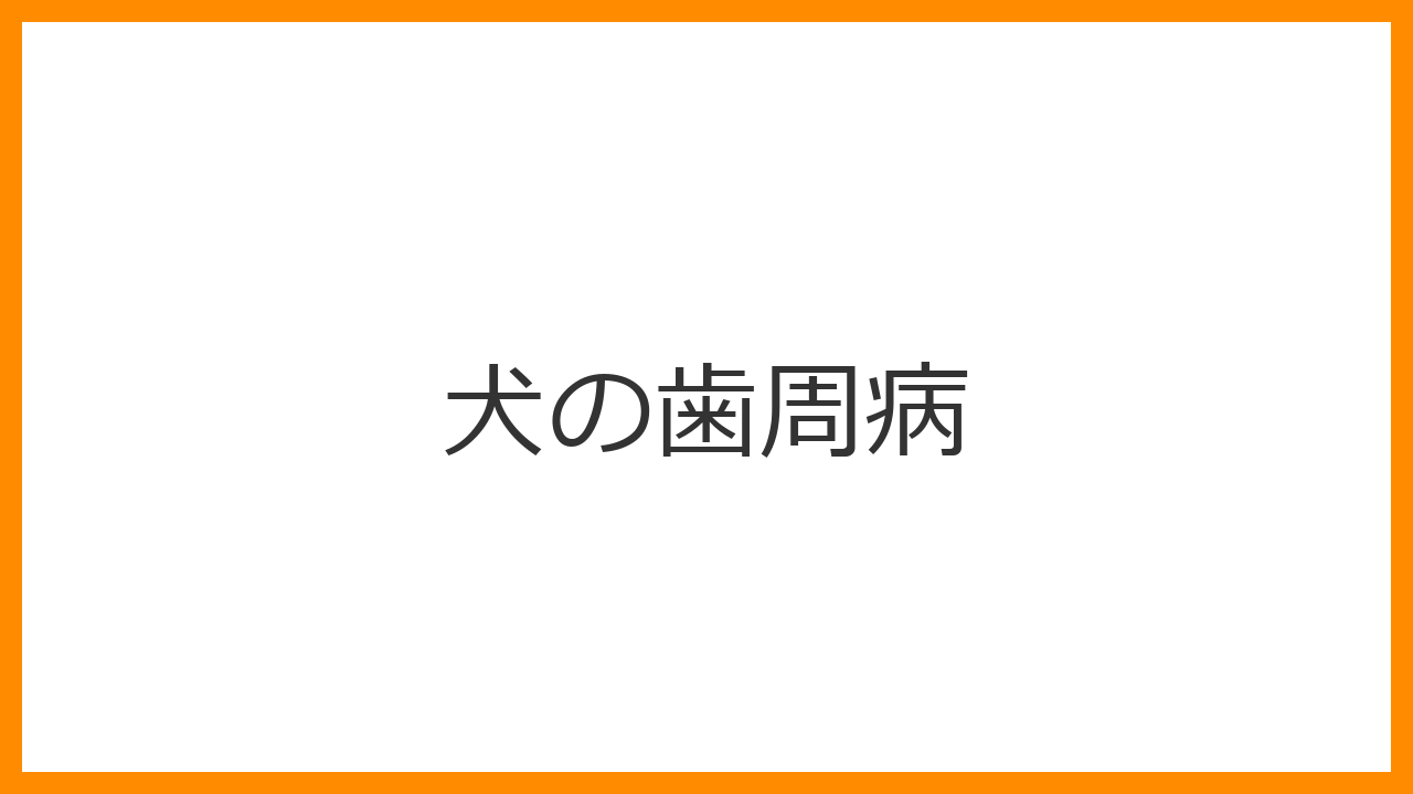 【犬の歯周病】ドブのような強い口臭・歯石は病気のサイン？顎の骨折・内臓疾患リスクと正しい歯みがきを解説