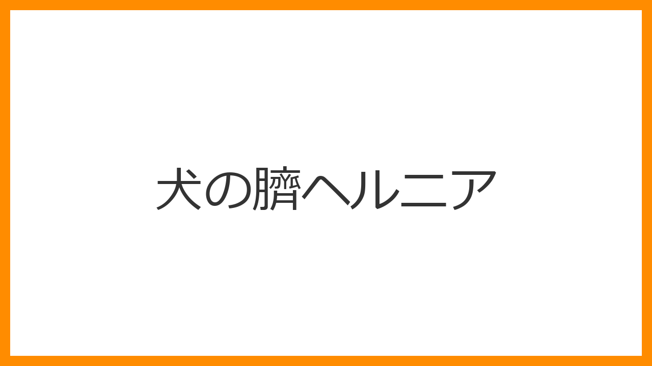 【犬の臍ヘルニア】おへその柔らかいふくらみは“でべそ”？腸が戻らない嵌頓（かんとん）リスクと手術を解説