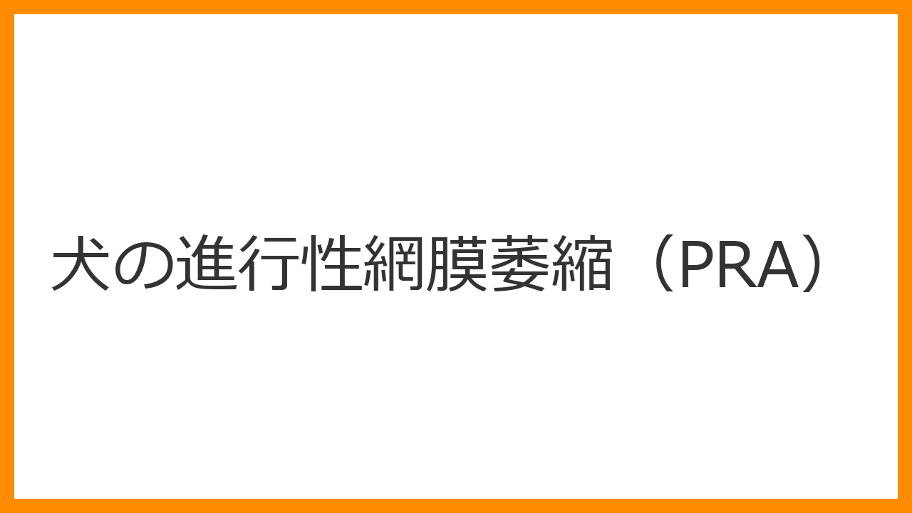 【犬の進行性網膜萎縮（PRA）】夜盲症・目がきらきら光るは遺伝病のサイン？予防サプリと生活バリアフリーを解説