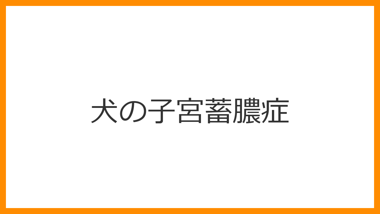 【犬の子宮蓄膿症】多飲多尿・陰部の膿は一刻を争うサイン？未避妊高齢メスの救急疾患と手術を解説