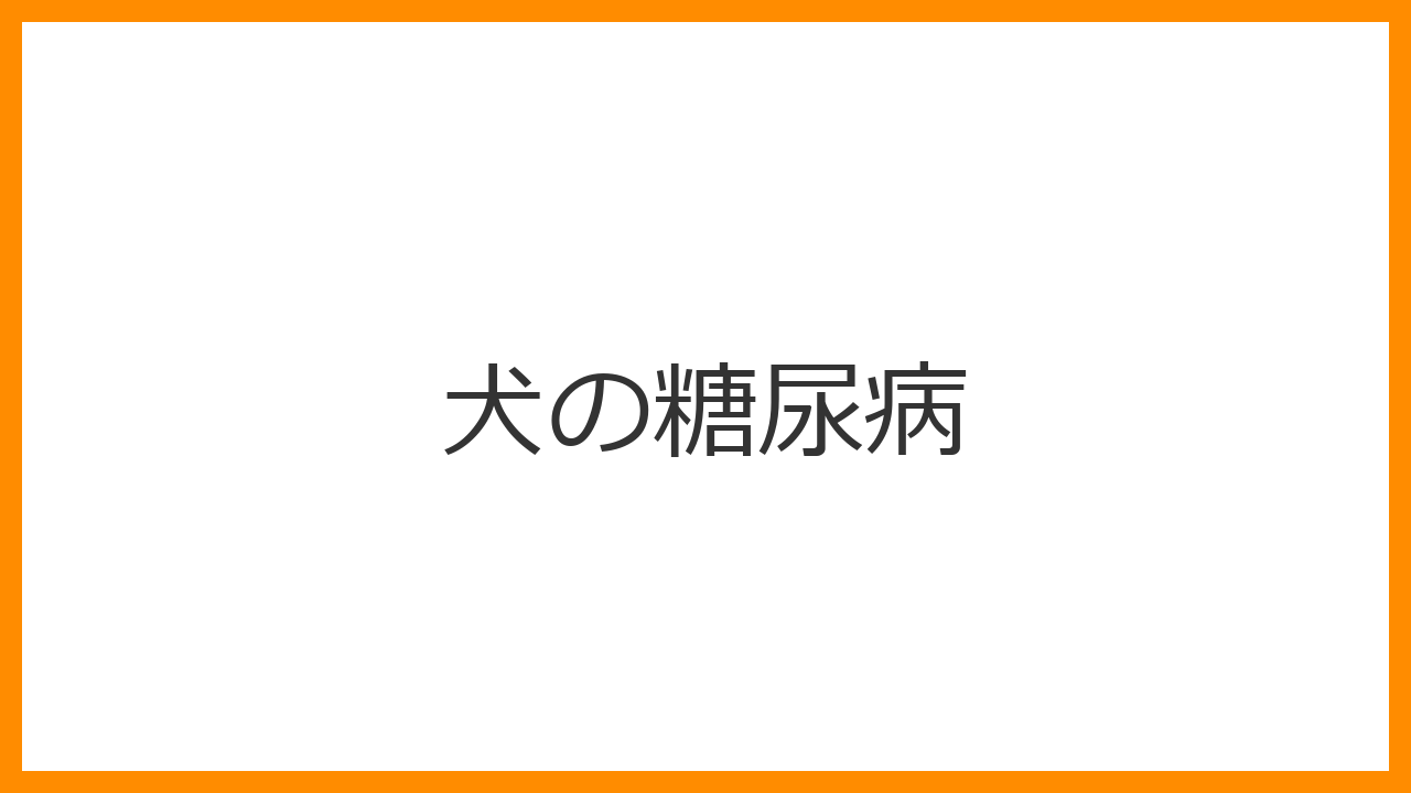 【犬の糖尿病】水をがぶ飲み多飲多尿・食欲旺盛なのに痩せるは危険サイン？生活ケアと毎日のインスリン注射を解説