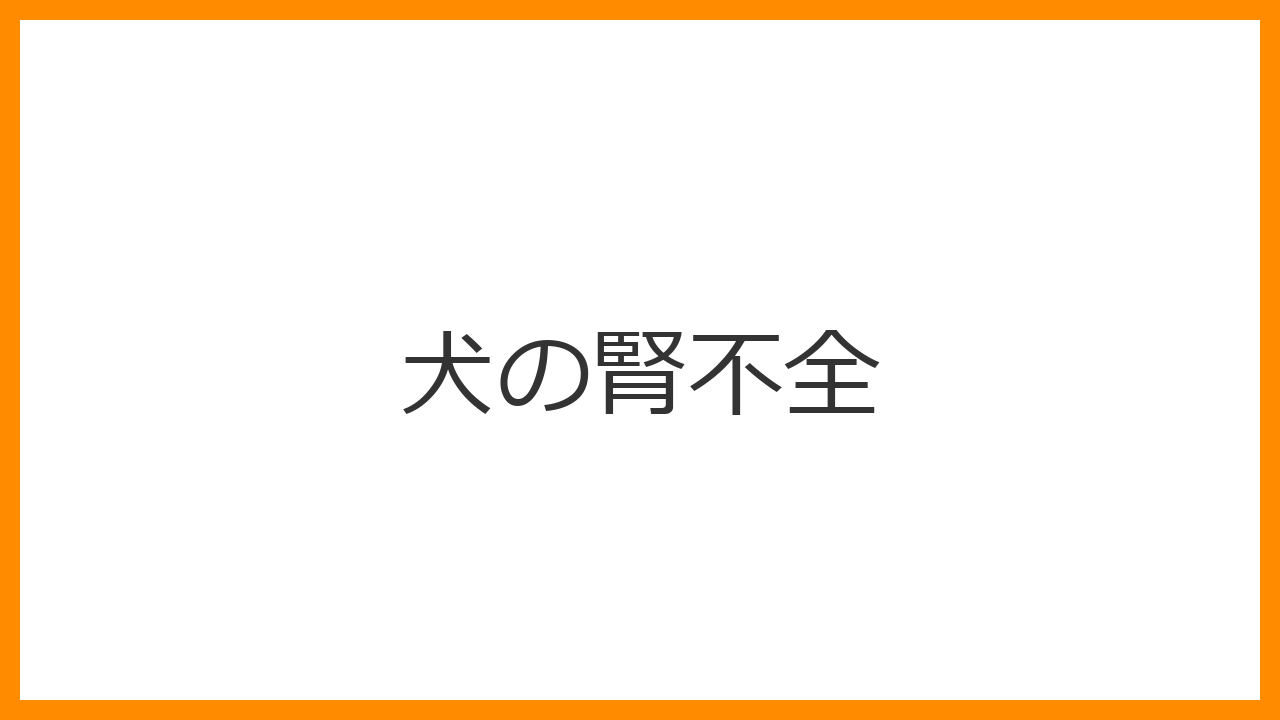 【犬の腎不全】水をがぶ飲みする多飲多尿は危険サイン？急性・慢性の違いと療法食ケアを解説