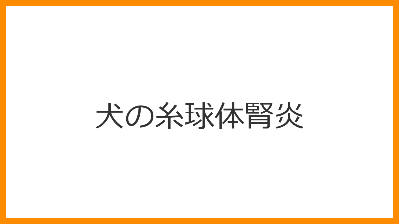 【犬の糸球体腎炎】タンパク尿・足のむくみは腎臓フィルターの異常？原因と免疫抑制剤治療を解説