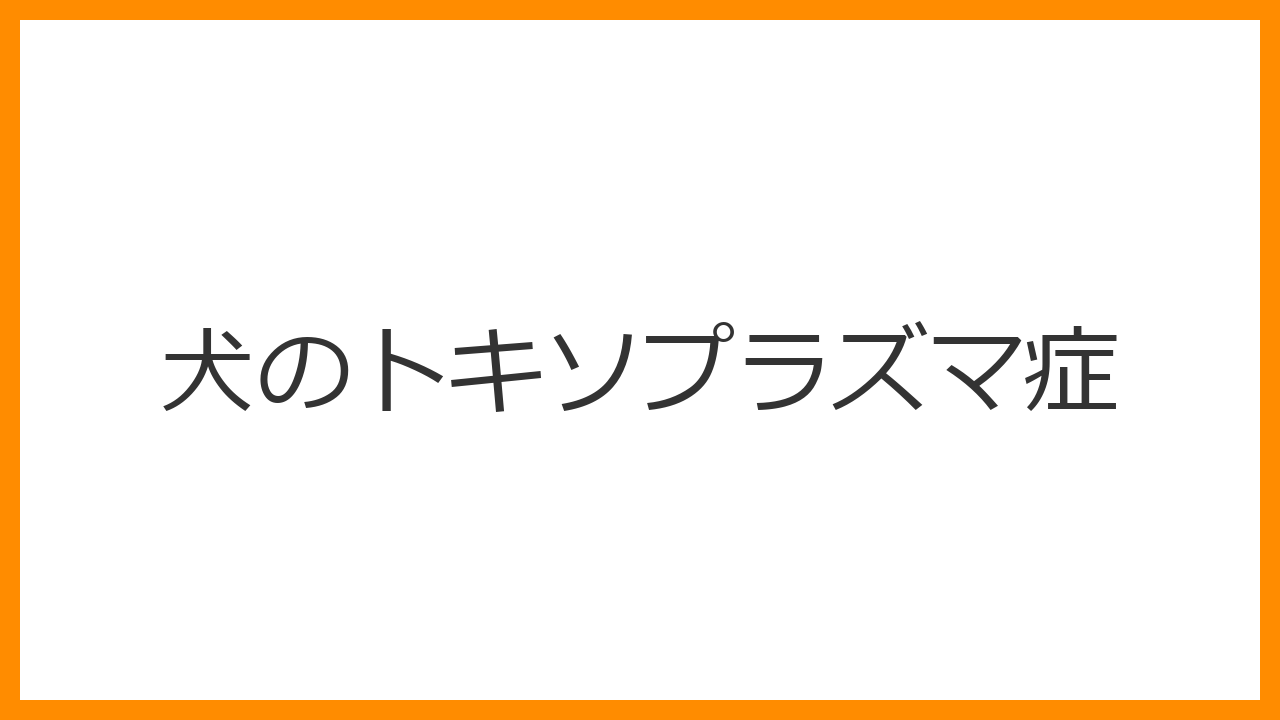【犬のトキソプラズマ症】発熱・下痢・痙攣は感染のサイン？人間（妊婦）へのリスクと生肉の危険を解説