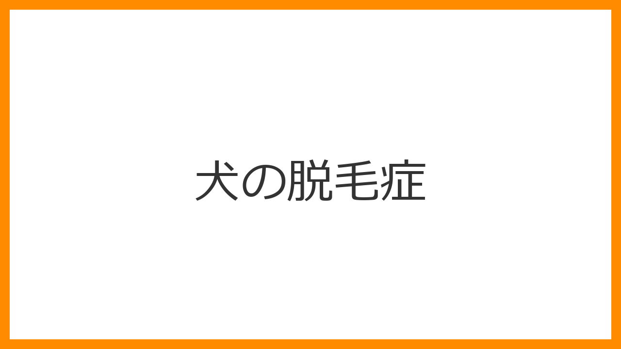 【犬の脱毛症】毛が抜ける・薄くなるのは病気？左右対称のハゲやアロペシアX、ホルモン異常などを解説