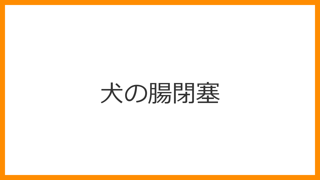 【犬の腸閉塞】激しい連続嘔吐・水を飲んでも吐くは危険？おもちゃ等の異物誤飲と緊急手術を解説