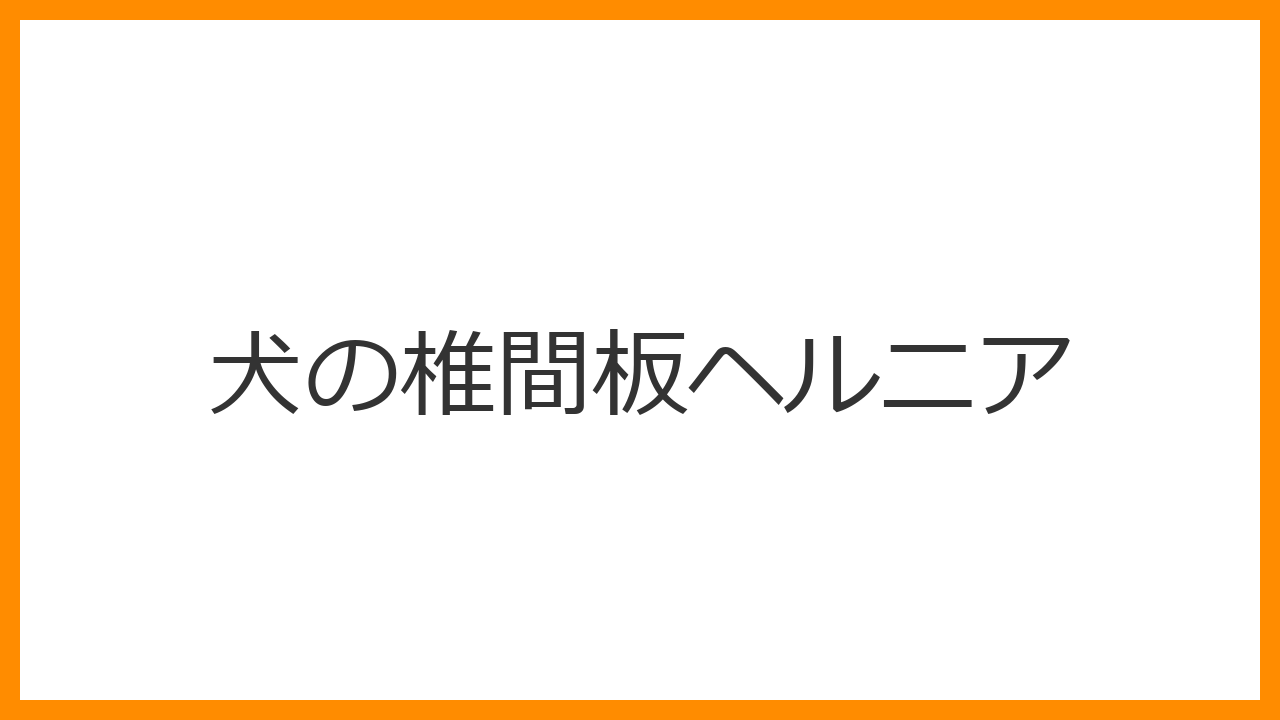 【犬の椎間板ヘルニア】背中の丸め・震えはSOSサイン？5段階のグレードと緊急手術の「48時間の壁」を解説