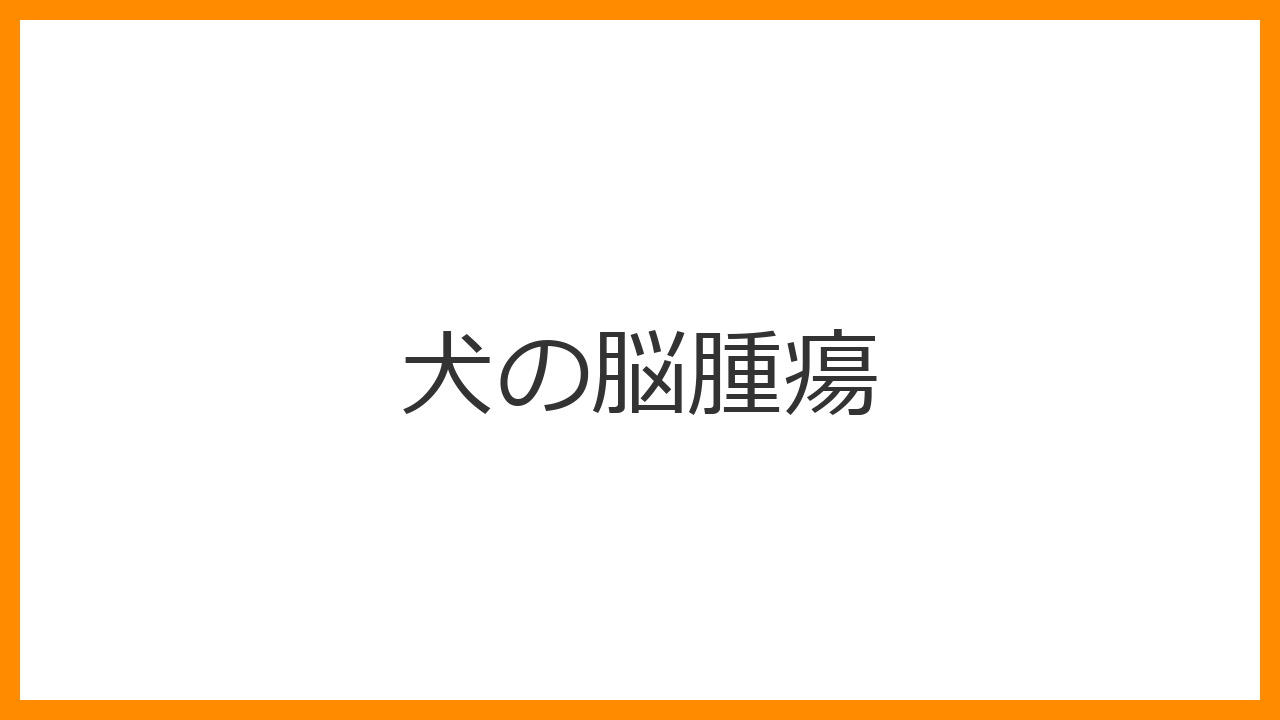 【犬の脳腫瘍】急な性格の変化・夜鳴き・絶え間ない痙攣は危険？高齢犬の脳の病気とMRI検査・緩和ケアを解説