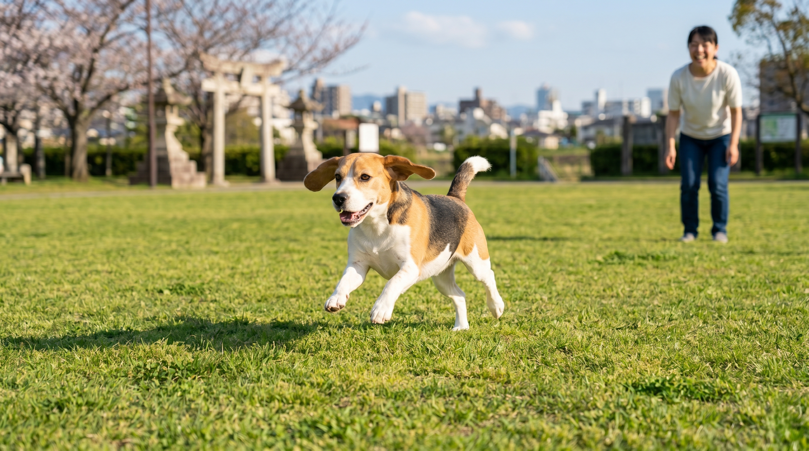 動物病院で皮膚の診察を受けている犬と獣医師（実写風）