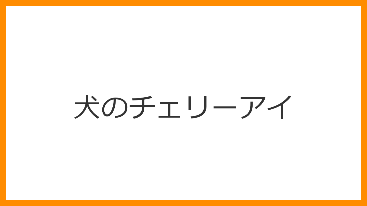 【犬のチェリーアイ】目頭の赤いデキモノ・飛び出しは病気？瞬膜露出症の原因と手術・再発リスクを解説