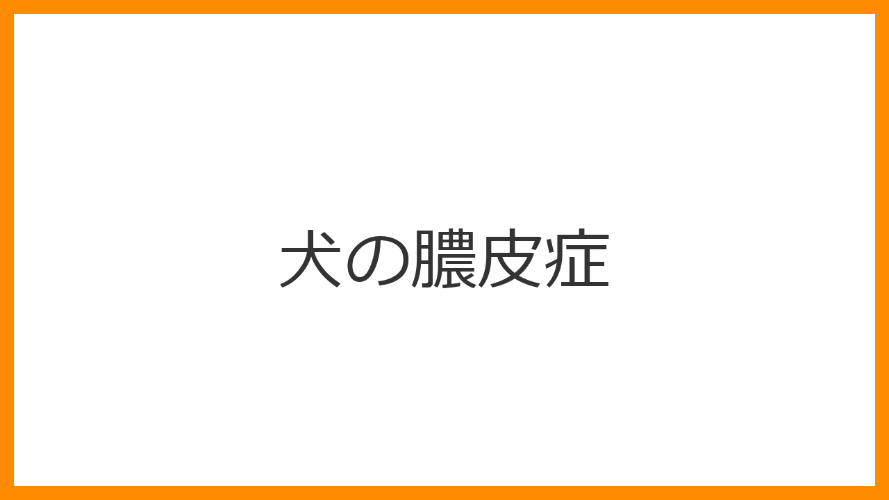 【犬の膿皮症】お腹の赤いポツポツ・輪っか状のフケは細菌繁殖？自宅薬用シャンプーと保湿ケアを解説