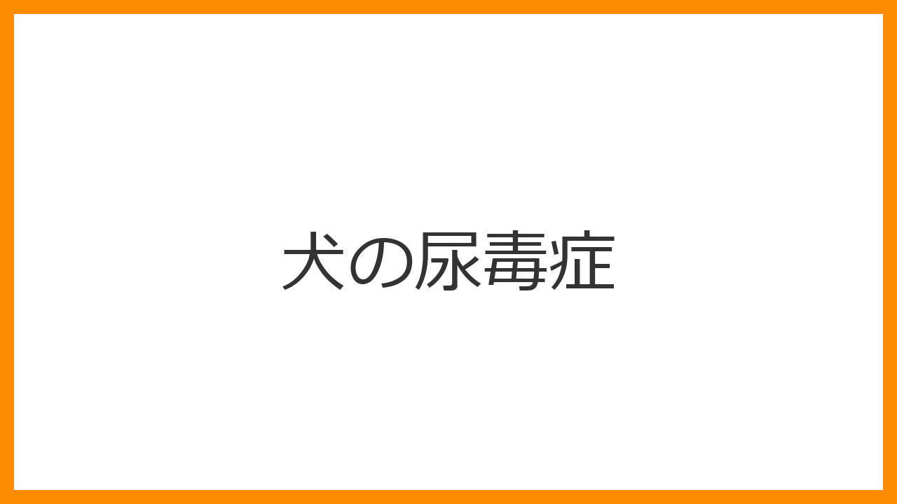 【犬の尿毒症】アンモニア臭の体臭・止まらない嘔吐は末期のサイン？腎不全・閉塞による命の危機を解説