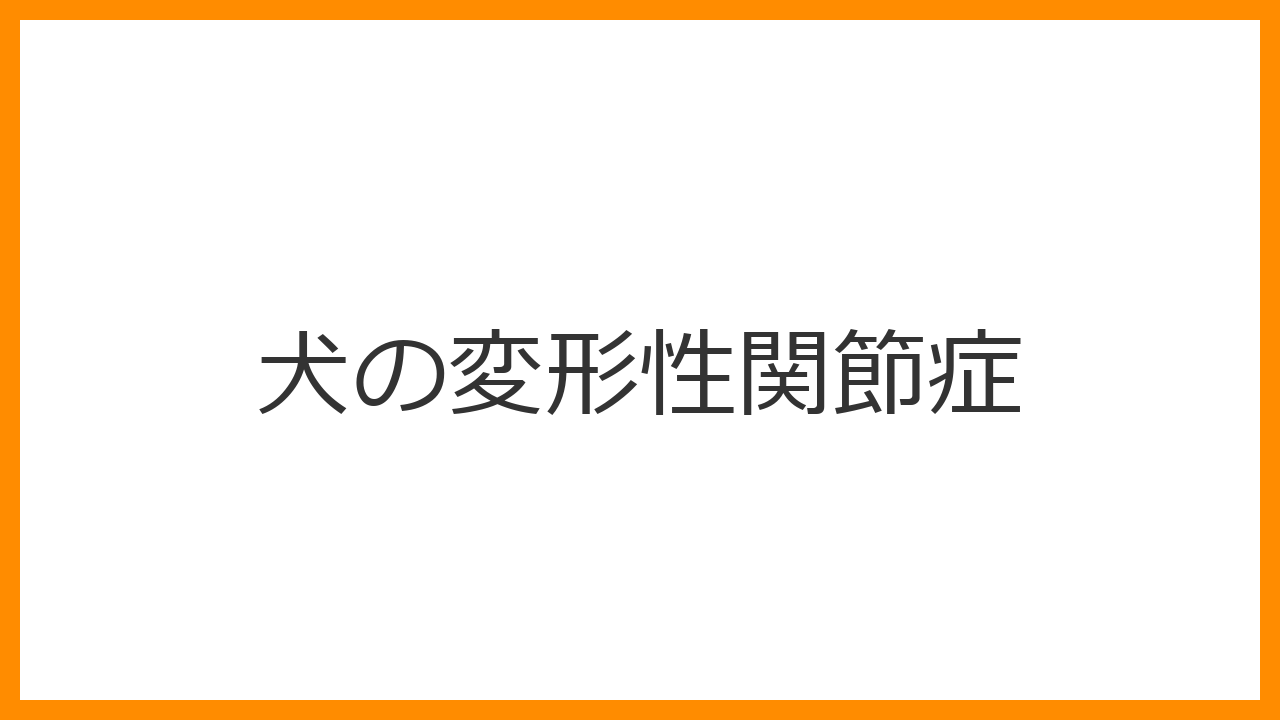 【犬の変形性関節症】足を引きずる・寝起きが遅いのは年のせい？軟骨のすり減りと最新の鎮痛注射を徹底解説