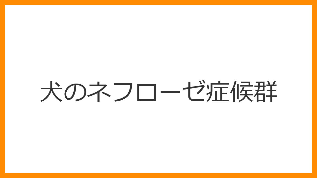 【犬のネフローゼ症候群】足のむくみ・お腹の膨らみは腎不全のサイン？蛋白尿と血栓症のリスクを徹底解説