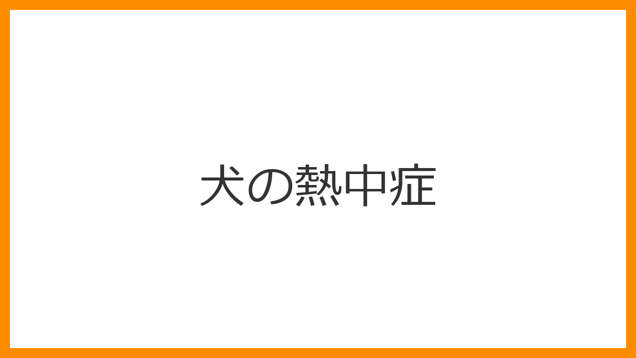 【犬の熱中症】激しいハァハァ・大量のよだれは危篤のサイン？生死を分ける冷却応急処置と救急病院の利用法