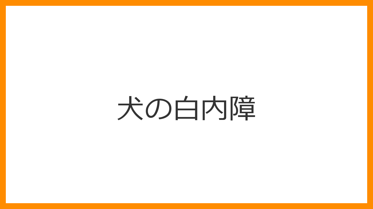 【犬の白内障】目が白い・ぶつかるのは末期の兆候？失明を防ぐ手術と目薬、老化との見分け方を