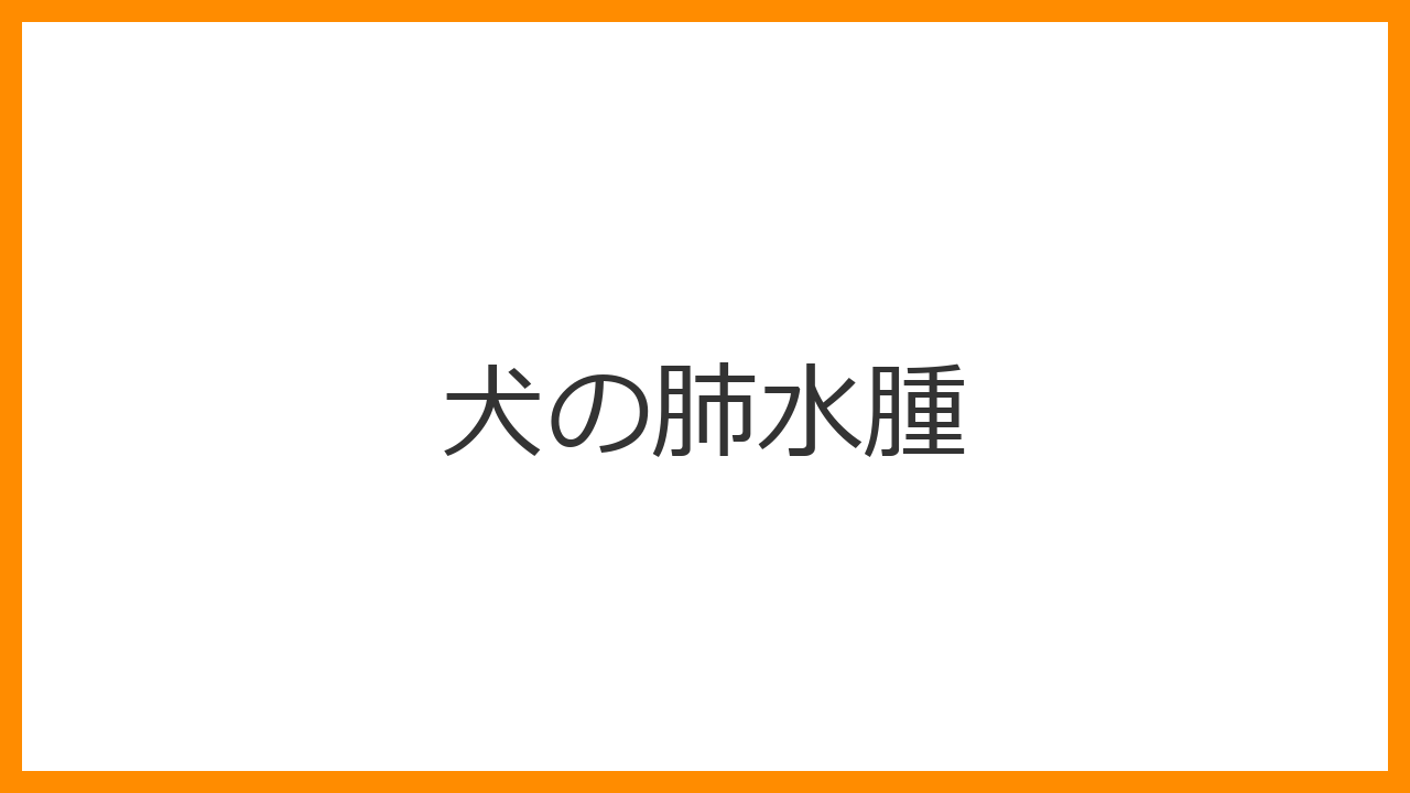 【犬の肺水腫】横になれない（起坐呼吸）・舌が青いのは一刻を争う「溺死」の危機！原因と緊急処置ガイド
