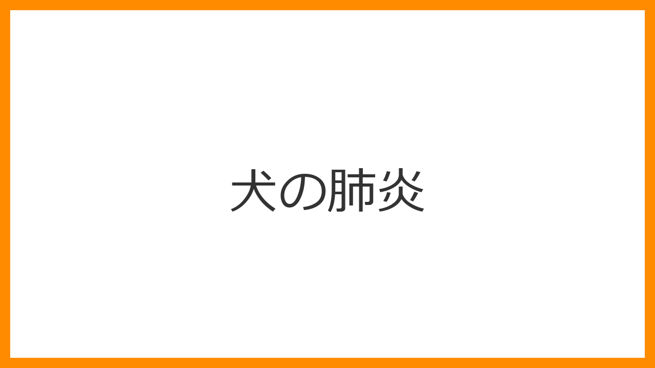 【犬の肺炎】湿った咳・浅く早い呼吸はただの風邪じゃない！誤嚥（ごえん）のリスクと救命治療を