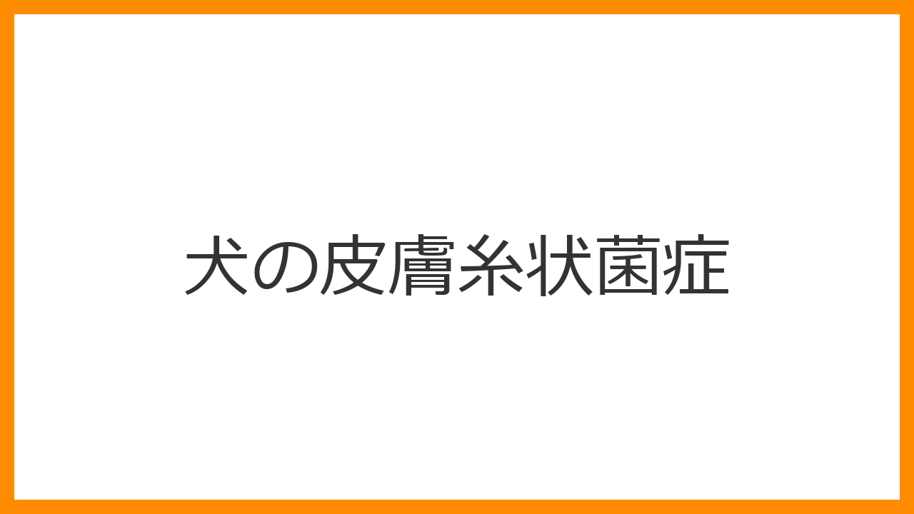 【犬の皮膚糸状菌症】人間にうつる「真菌」の恐怖！円形ハゲ・大量のフケを根絶する除菌・治療ガイド