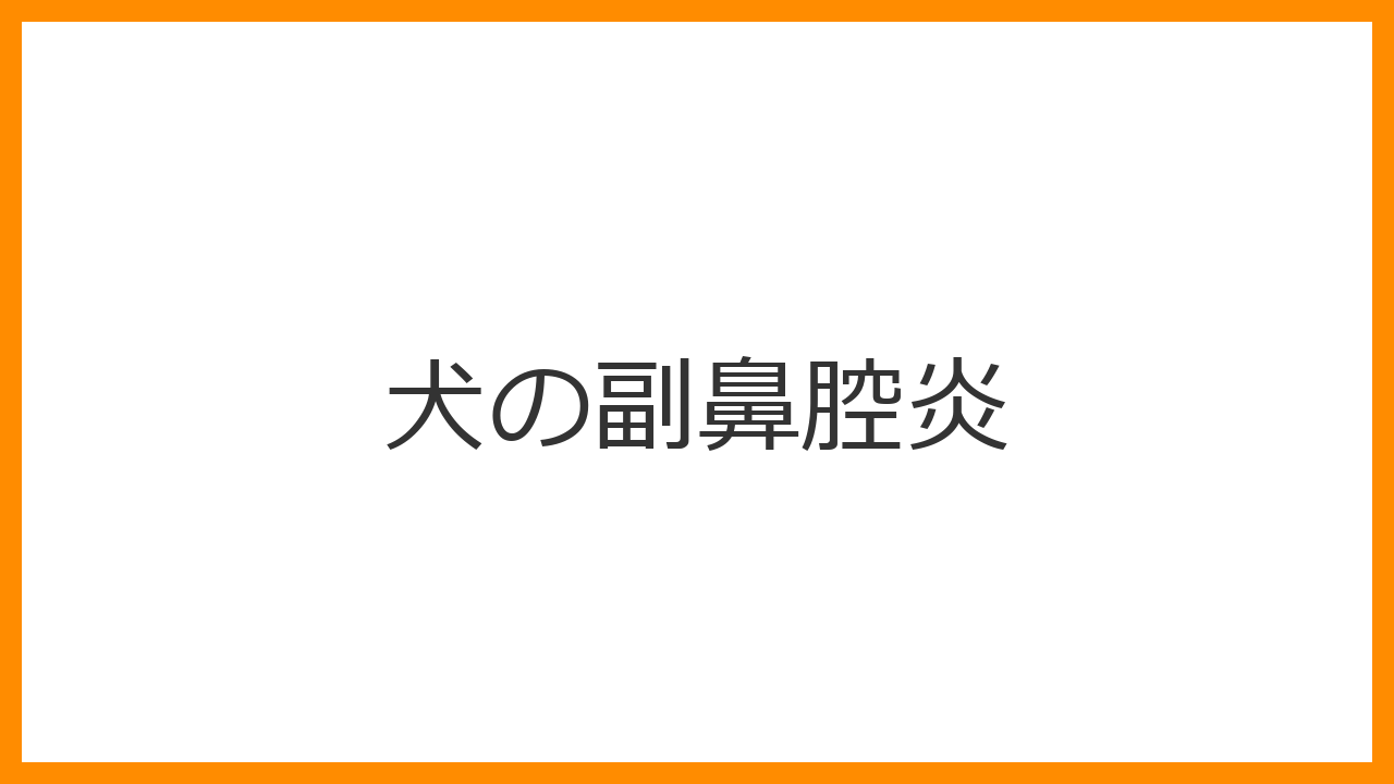 【犬の副鼻腔炎】ドロドロの鼻水・顔の腫れは「蓄膿症」？歯から来る原因と抜歯による根治治療を解説