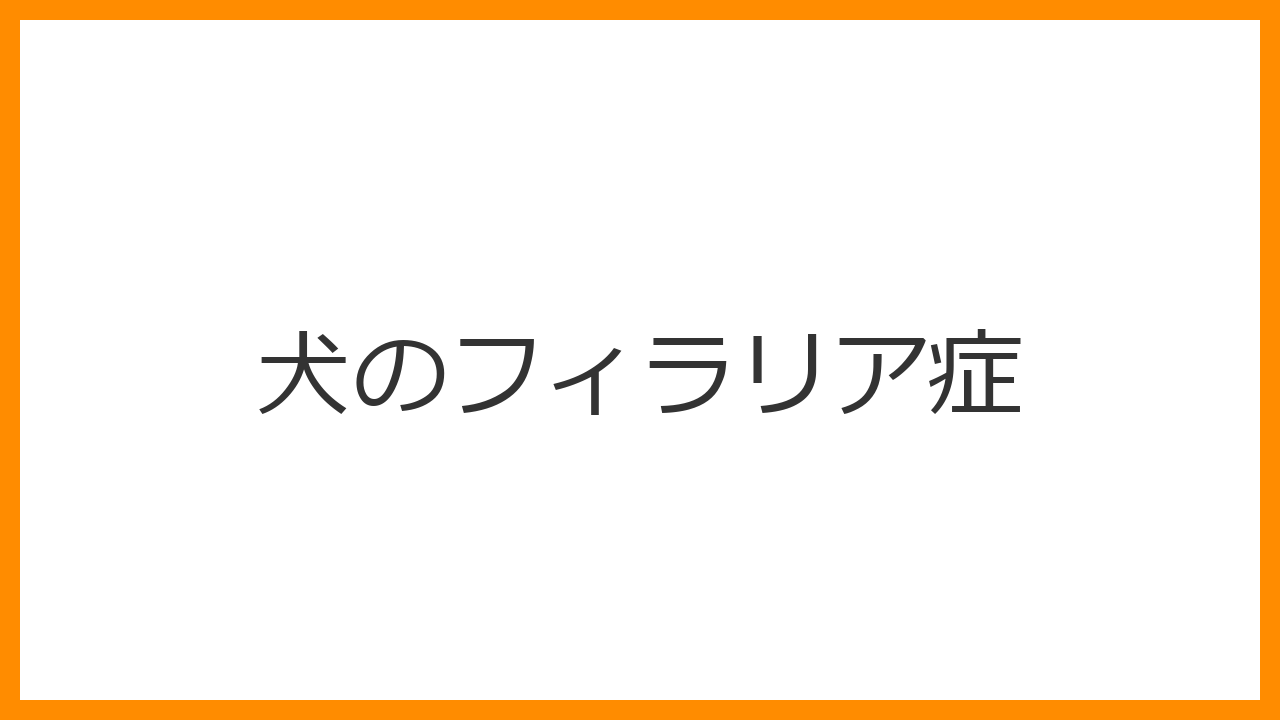 【犬のフィラリア症】咳、血尿、お腹の張り……蚊が運ぶ「心臓の寄生虫」の恐怖と寿命を縮めない救済ガイド