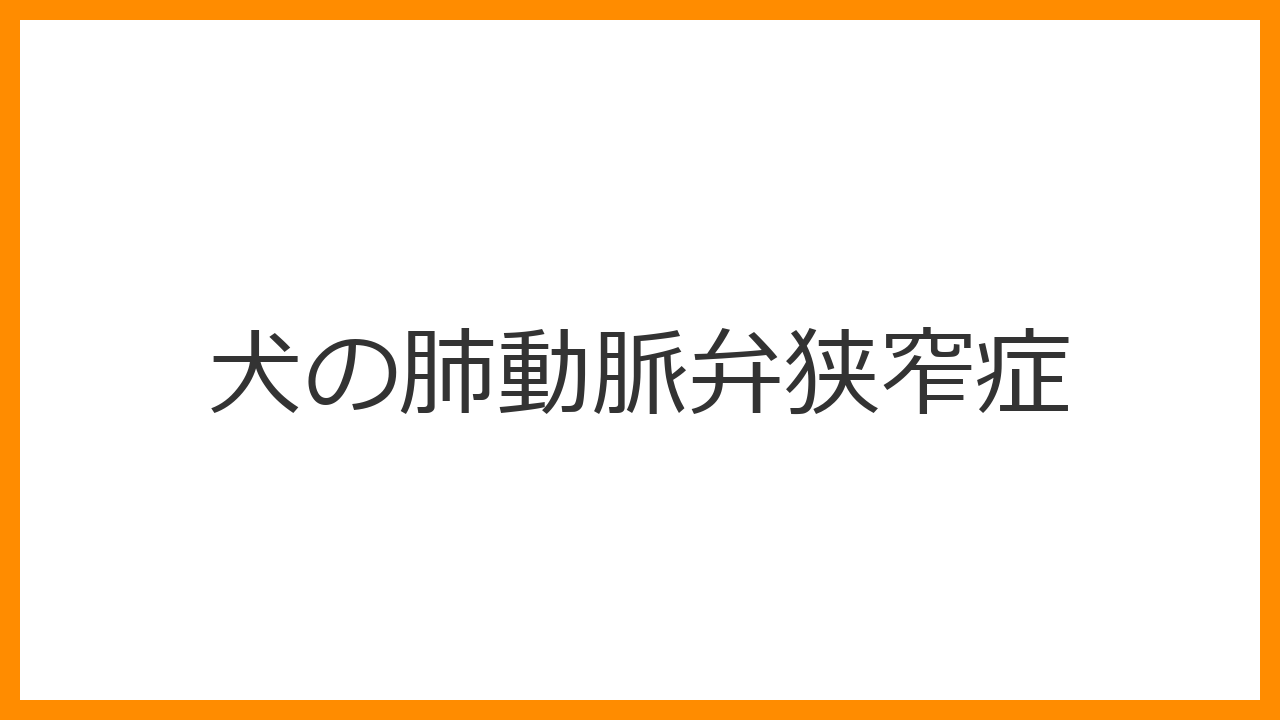 【犬の肺動脈弁狭窄症】興奮時の失神は生まれつきの病気？完治を目指すカテーテル手術と心臓ケアを解説